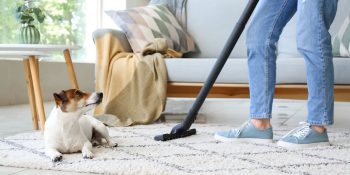 spring-cleaning-with-pets